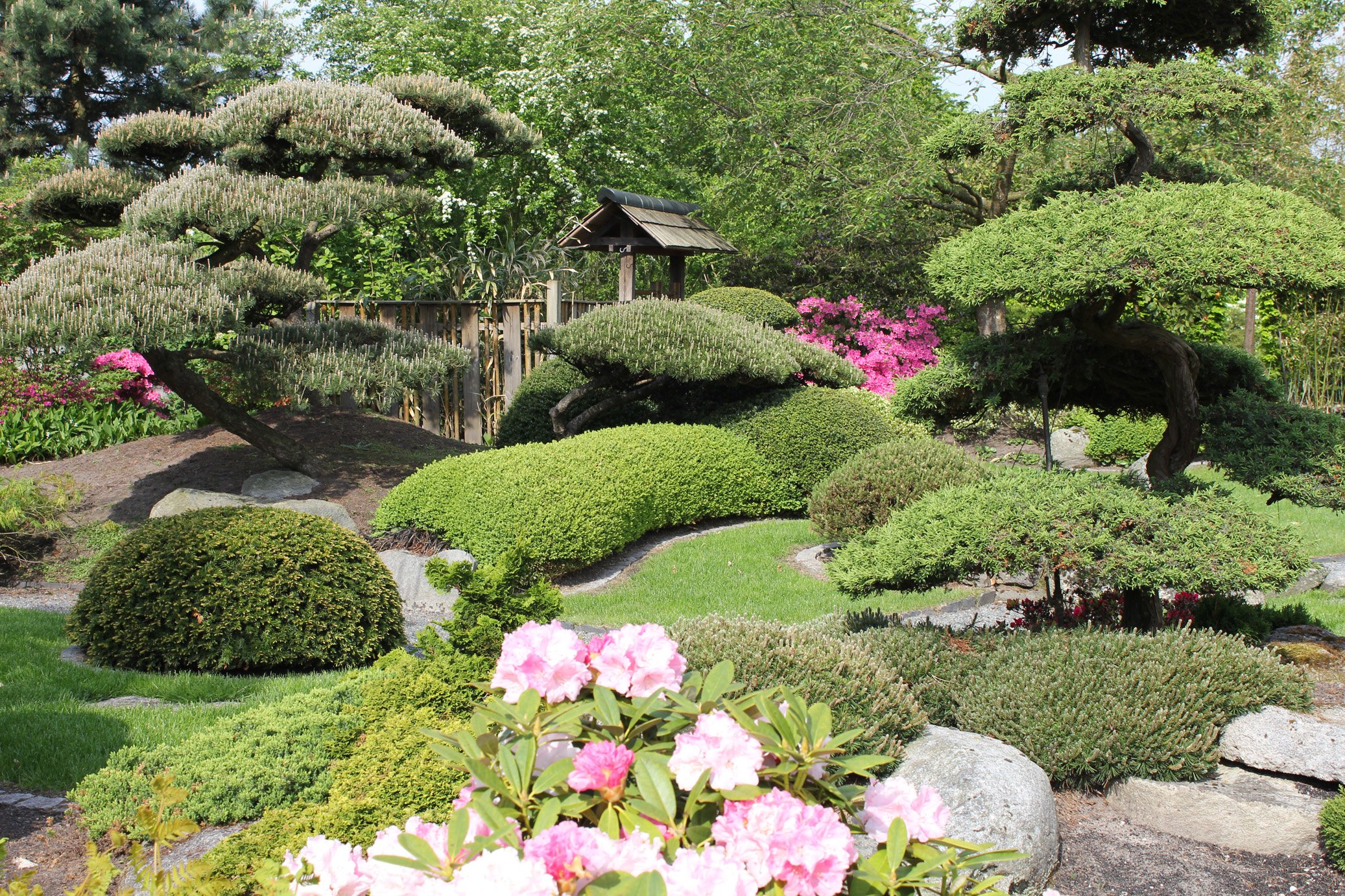 Japonská zahrada znamená tradici a umění úpravy okrasné zahrady