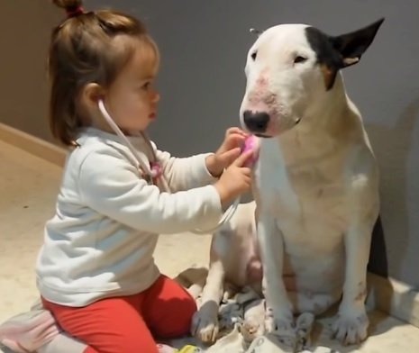 Malá budoucí veterinářka a její velmi tolerantní pacient